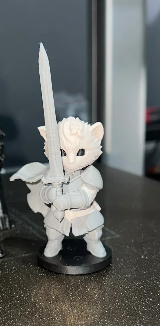 knight kitten şövalye kedi